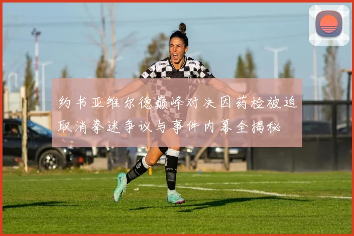约书亚维尔德巅峰对决因药检被迫取消拳迷争议与事件内幕全揭秘