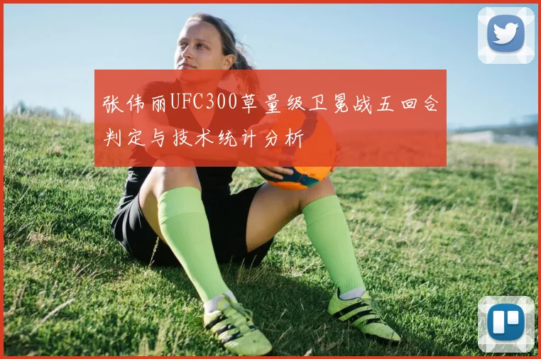 张伟丽UFC300草量级卫冕战五回合判定与技术统计分析