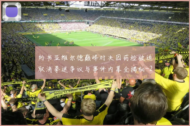 约书亚维尔德巅峰对决因药检被迫取消拳迷争议与事件内幕全揭秘
