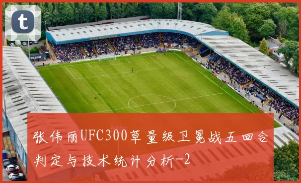 张伟丽UFC300草量级卫冕战五回合判定与技术统计分析