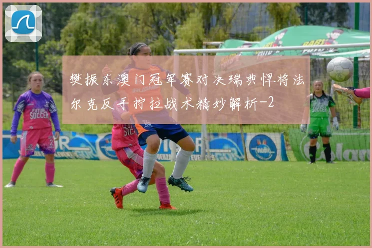 樊振东澳门冠军赛对决瑞典悍将法尔克反手拧拉战术精妙解析